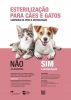 Apoio a Esteriliza&ccedil;&atilde;o