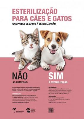 Apoio a Esteriliza&ccedil;&atilde;o